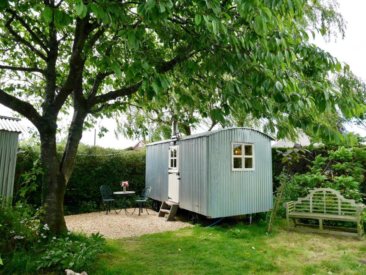 The Wayside Shepherd Hut Beaulieu Ngoại thất bức ảnh
